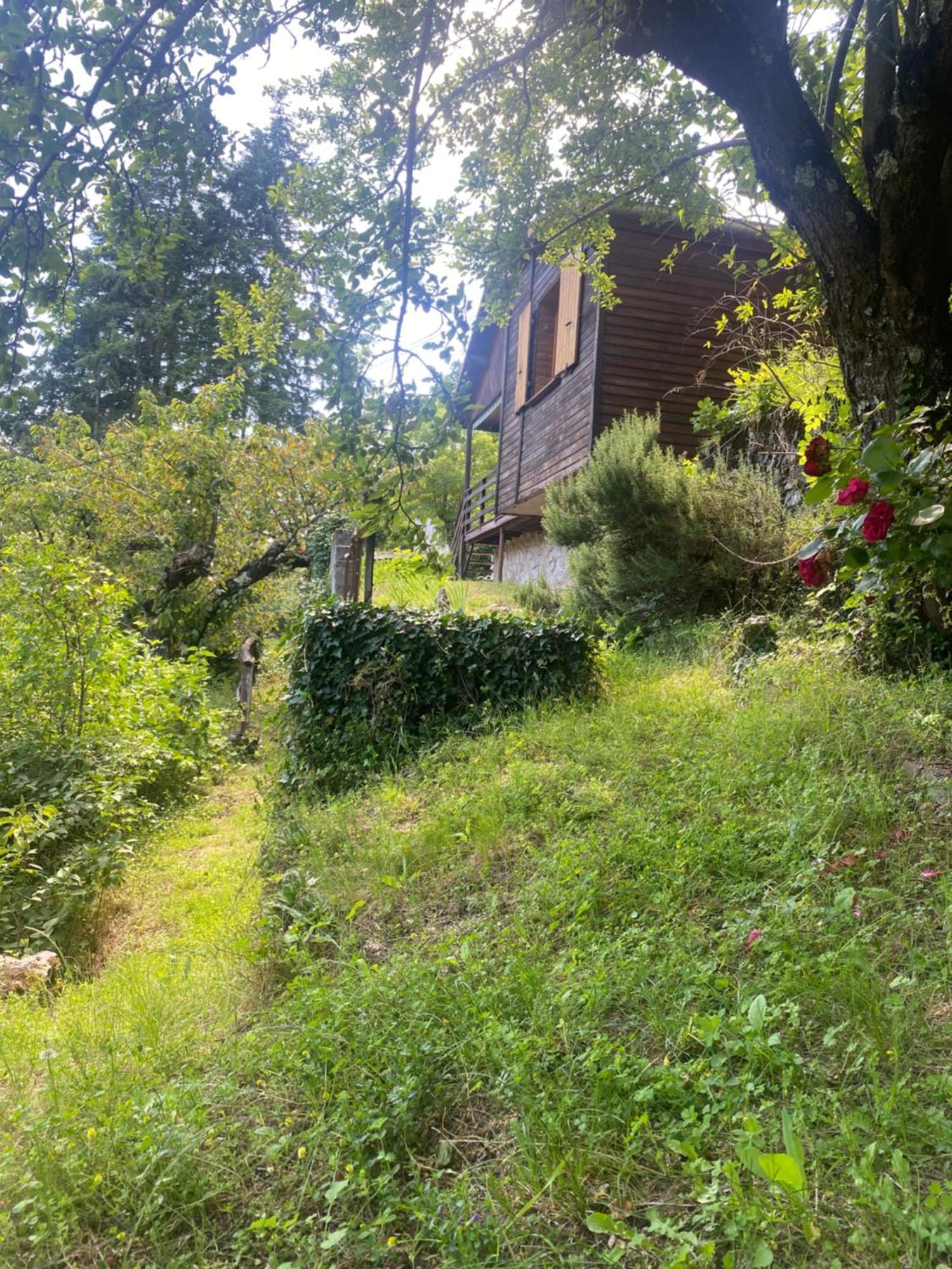 Chalet Les Accacias Vocance 外观 照片